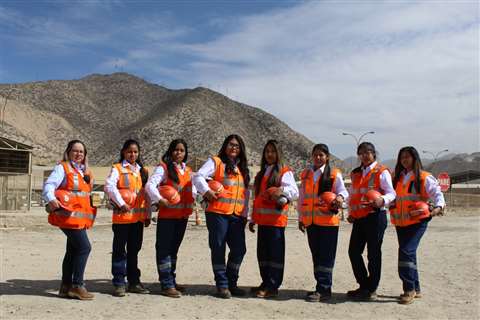 Veinticinco mujeres entre 19 y 26 años, se hicieron cargo de la planificación y la programación, el despacho de repuestos y la ejecución del mantenimiento de un camión Cat 798 AC.